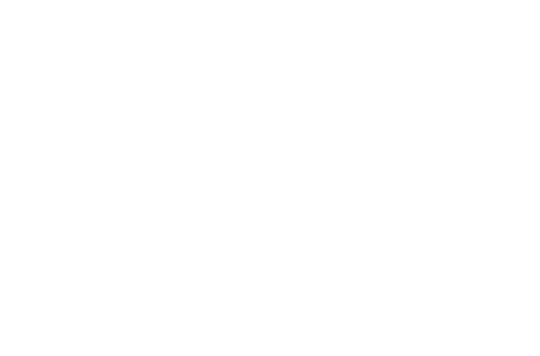 VIP Parkiet